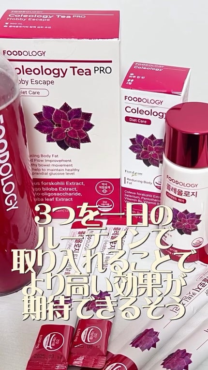 コレオロジーティー/FOODOLOGY/ドリンクの人気ショート動画