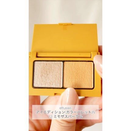エテュセ アイエディション(カラーパレット)/ettusais/アイシャドウパレットの人気ショート動画