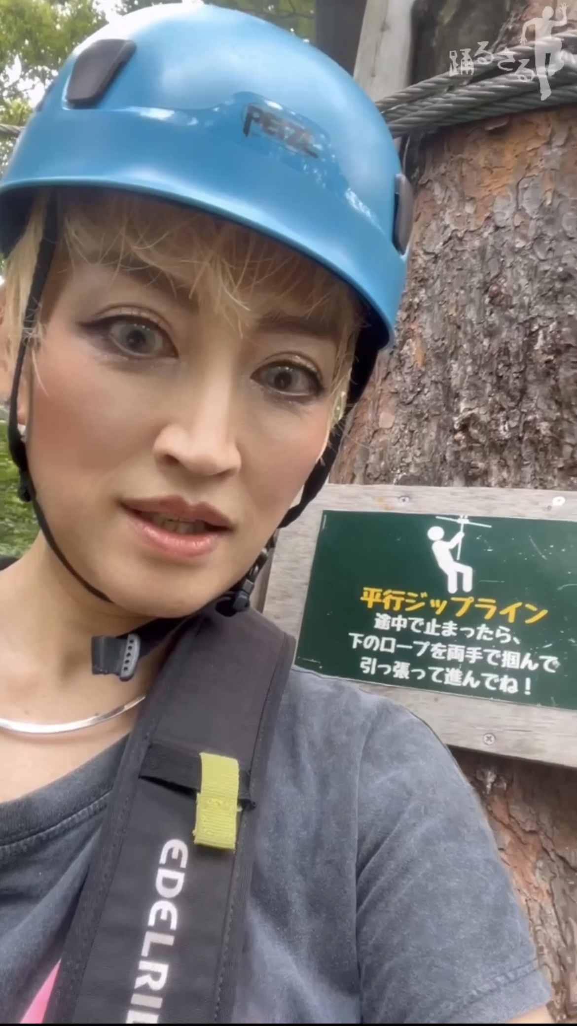 N’s COLLECTION 1day/N’s COLLECTION/ワンデー（１DAY）カラコンを使ったクチコミ（1枚目）