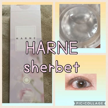 ※動画効果音あり

#HARNE
#sherbet

DIA            14.1
BC               8.6
着色直径   13.4

大人気YouTuber