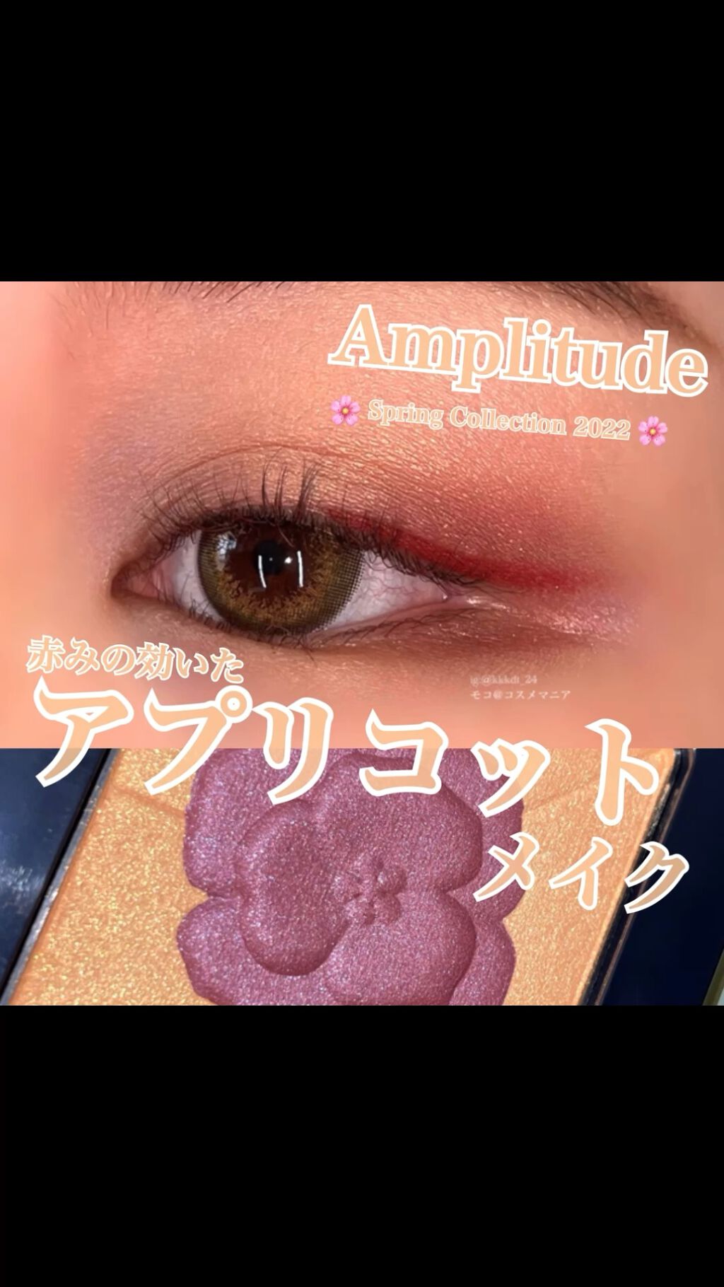 コンスピキュアス アイズ リミテッドコレクション a EX-05 アプリコットローズ/Amplitude/アイシャドウパレットを使ったクチコミ（1枚目）