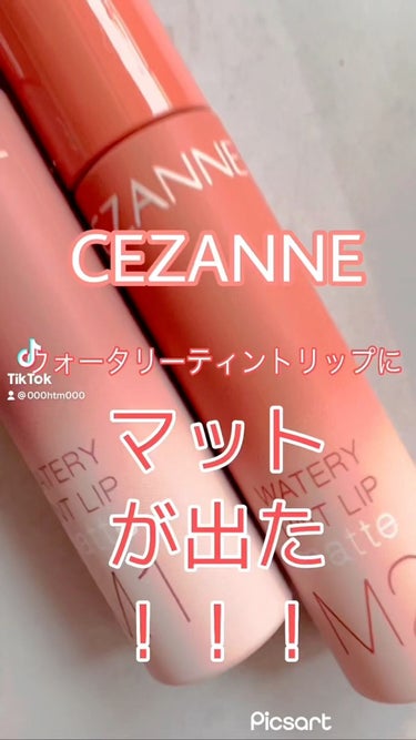 ウォータリーティントリップ マット/CEZANNE/口紅を使ったクチコミ（1枚目）