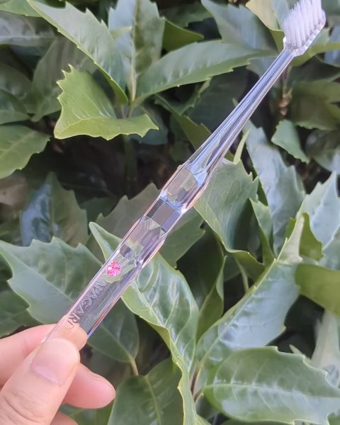 アパガードクリスタル歯ブラシ/アパガード/歯ブラシを使ったクチコミ（2枚目）