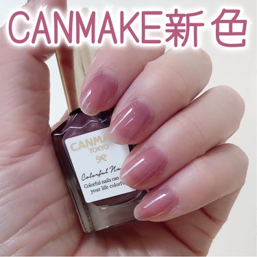  - \CANMAKE新色💅/





♡ •
