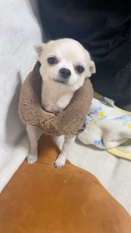 コール・クチュール・ウォータープルーフ/GIVENCHY/ペンシルアイライナーの動画クチコミ5つ目