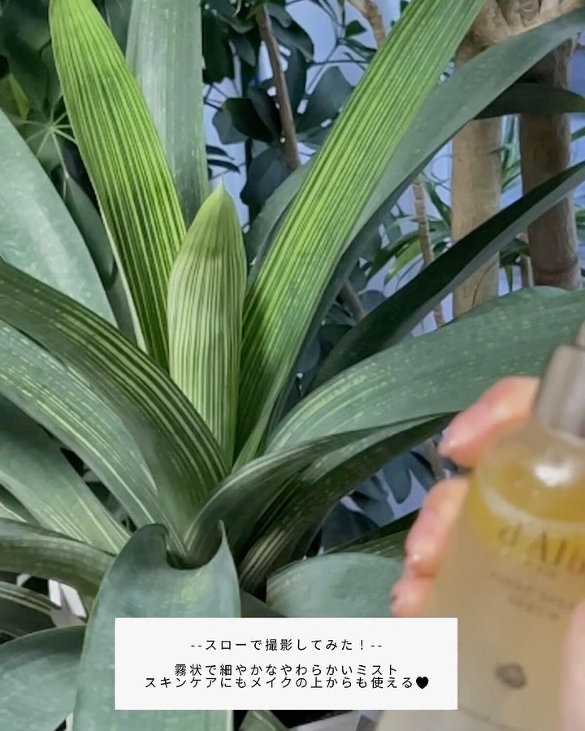 ダルバ ホワイトトリュフファーストスプレーセラム/ダルバ/ミスト状化粧水を使ったクチコミ（3枚目）