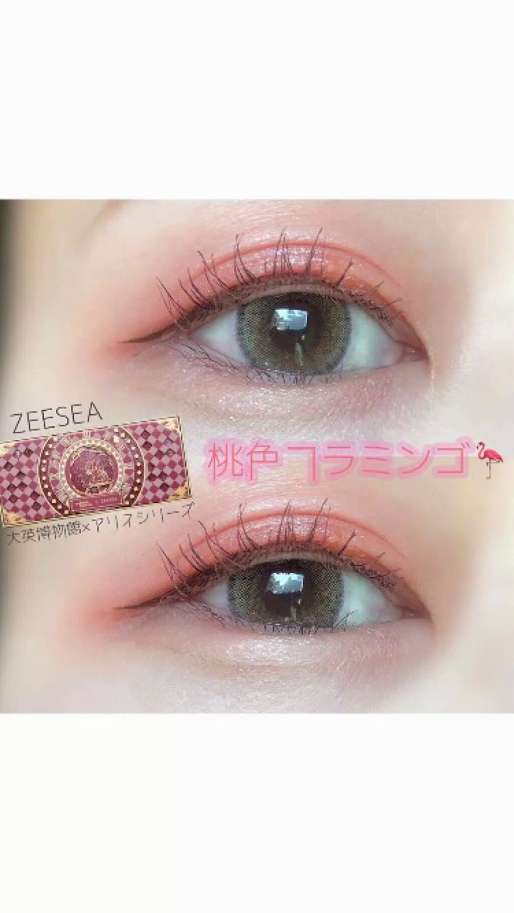 アリスドリームランドシリーズ 12色アイシャドウパレット（ZEESEA×大英博物館）/ZEESEA/アイシャドウパレットの人気ショート動画