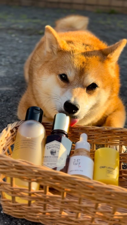 光彩プロポリスセラム /Beauty of Joseon/美容液の人気ショート動画