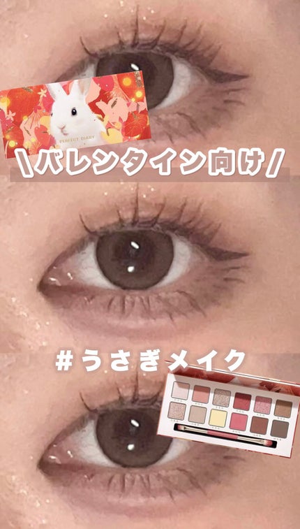 エクスプローラ12色 動物アイシャドウパレット/PERFECT DIARY/アイシャドウパレットを使ったクチコミ(1枚目)