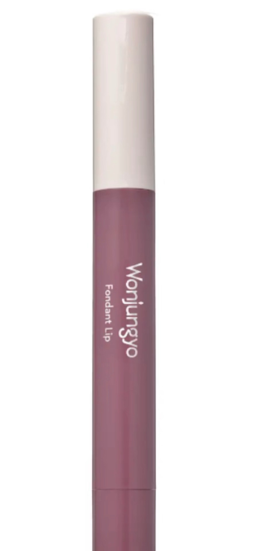 ウォンジョンヨ フォンダンリップ/Wonjungyo/口紅の動画クチコミ2つ目