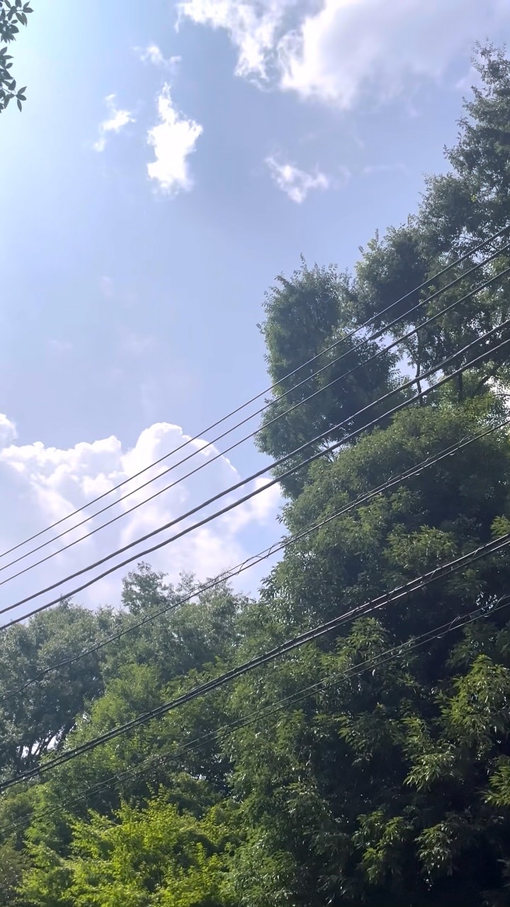 テンセルフェイシャルマスクZERO/HWA/シートマスク・パックを使ったクチコミ（1枚目）