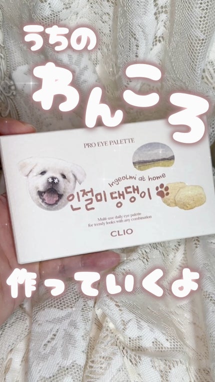 プロ アイ パレット/CLIO/アイシャドウパレットの人気ショート動画