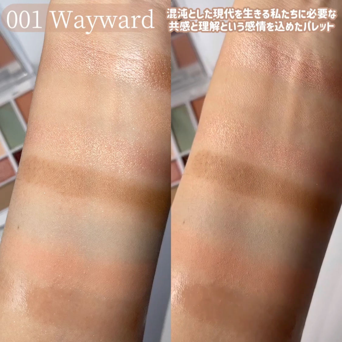 アンボイスドアイシャドウパレット/ArteSinsa/アイシャドウパレットを使ったクチコミ（3枚目）