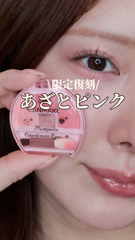 プランぷくコーデアイズ 04 イチゴプランぷく / キャンメイク プランぷくコーデアイズ 04 イチゴプランぷく / キャンメイク