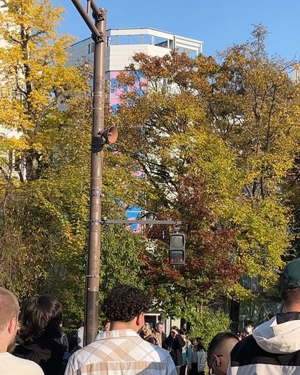 リチュアルリップモイスチャーバーム/BROOKESIA/フェイスバームを使ったクチコミ(2枚目)