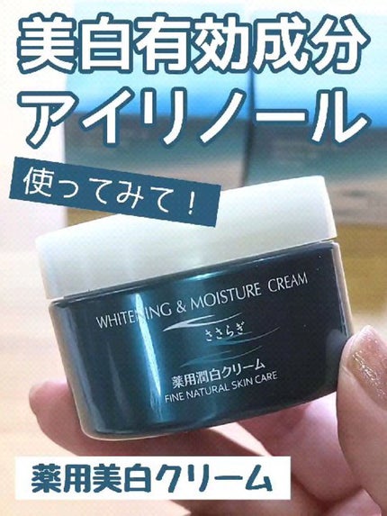 コープ ささらぎ薬用潤白クリームのクチコミ「眉のそばにあるシミのせいで
眉が左右対称に見えず困っていました。
今は気にせず眉メイクを楽しん.....」(1枚目)