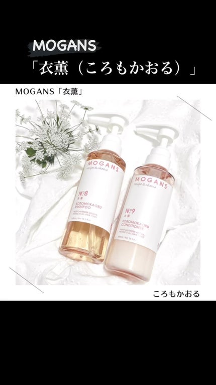 ノンシリコン アミノ酸 シャンプー/コンディショナー 衣薫(ころもかおる)/MOGANS/市販シャンプーの人気ショート動画
