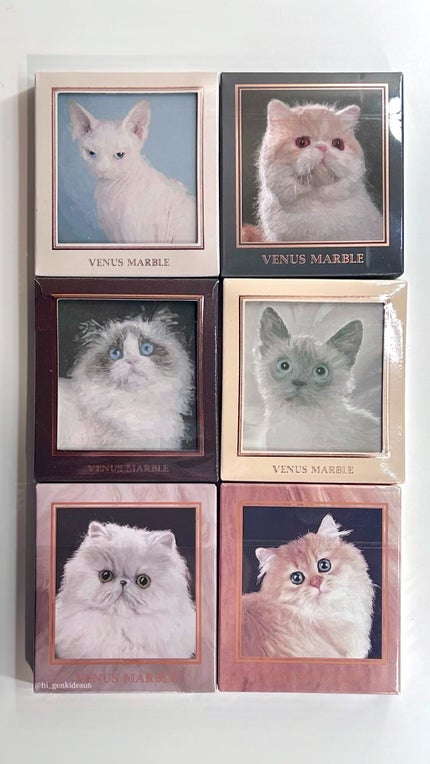 Venus Marble アイシャドウキャットシリーズ/Venus Marble/アイシャドウパレットの人気ショート動画