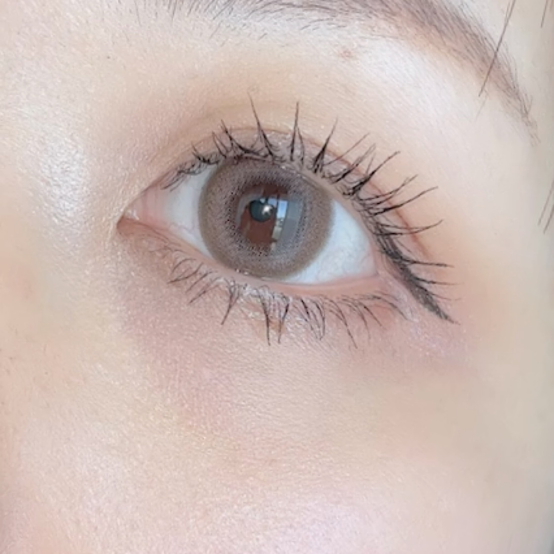 VELVETEAR/VELVETEAR/ワンデー（１DAY）カラコンを使ったクチコミ（3枚目）