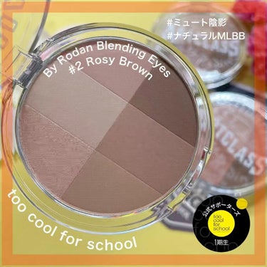 ARTICLASS BLENDING EYES/too cool for school/アイシャドウパレットを使ったクチコミ（1枚目）