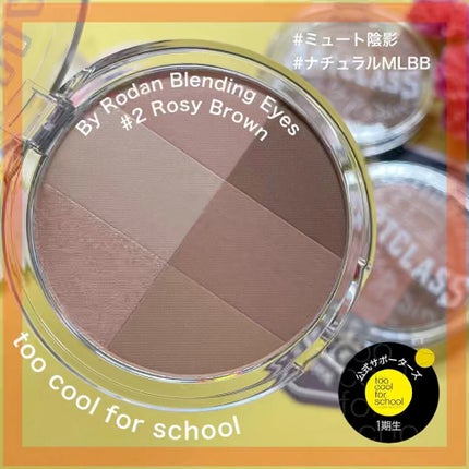 ARTICLASS BLENDING EYES/too cool for school/アイシャドウパレットを使ったクチコミ(1枚目)