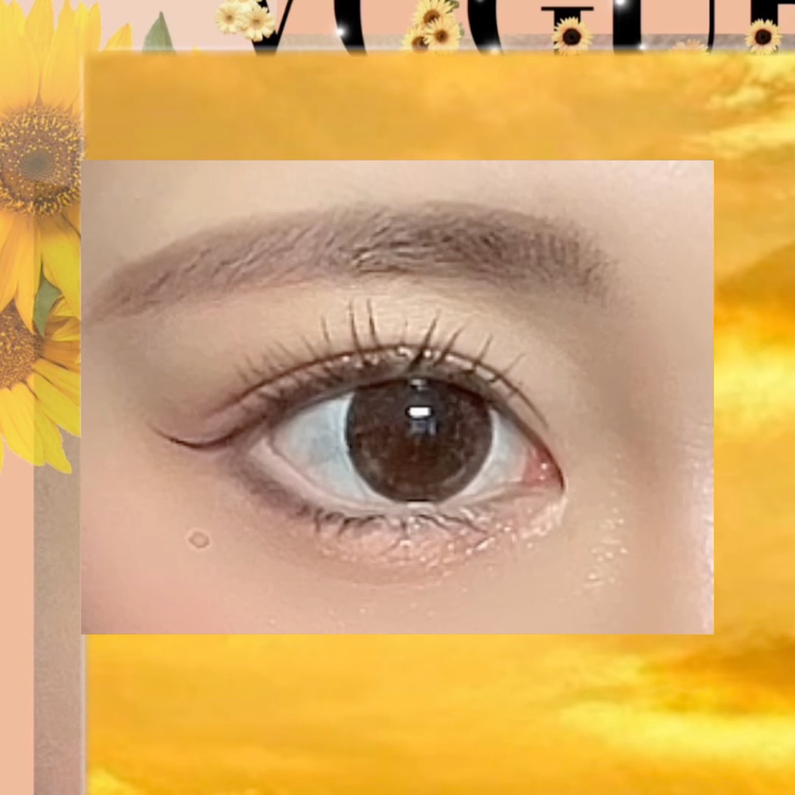 ブラーフィニシュシャドウパレット/Dinto/アイシャドウパレットを使ったクチコミ（2枚目）