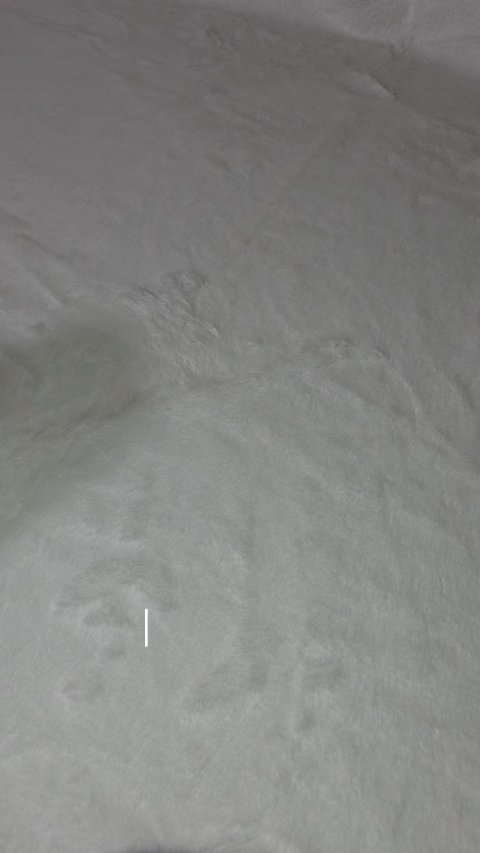 アンシーン バルーンティント/Oddtype/リップティントを使ったクチコミ（1枚目）