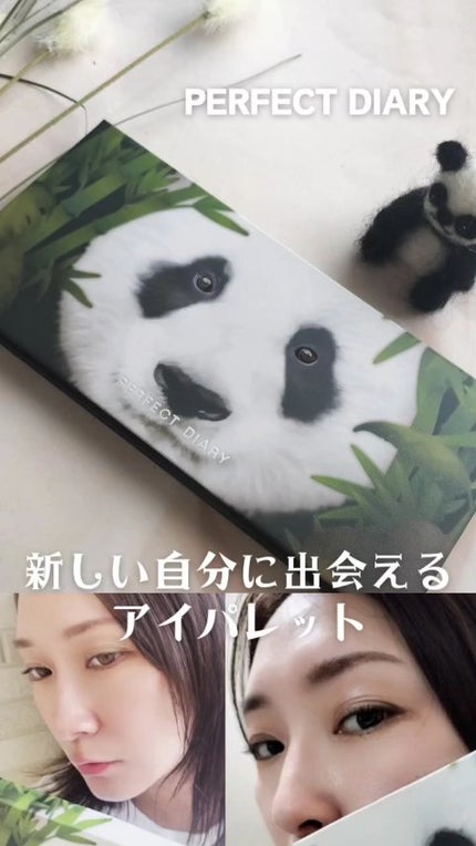 エクスプローラ12色 動物アイシャドウパレット/PERFECT DIARY/アイシャドウパレットの人気ショート動画