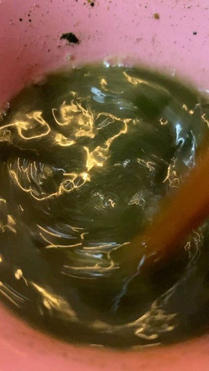 ベジパワープラス/ダイエットドリンク/ドリンクの人気ショート動画