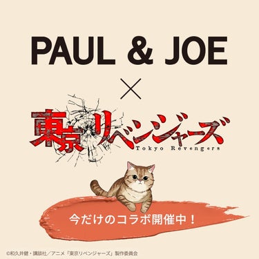 リップスティック ケース/PAUL & JOE BEAUTE/その他化粧小物の動画クチコミ4つ目