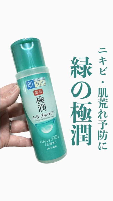 薬用 極潤 スキンコンディショナー/肌ラボ/化粧水を使ったクチコミ(1枚目)