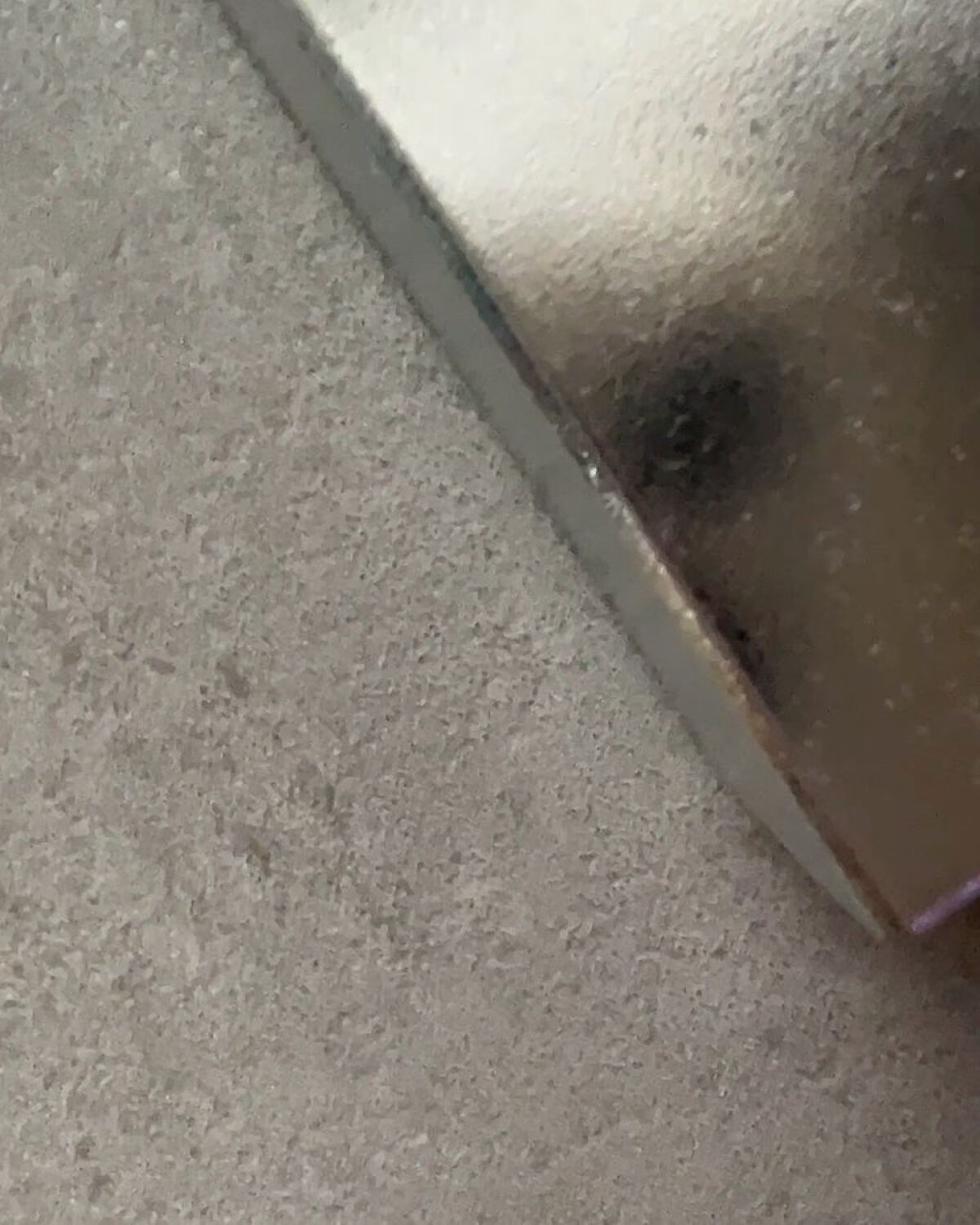 プロポリストリートメントアンプルエッセンス/CNP Laboratory/美容液を使ったクチコミ（2枚目）