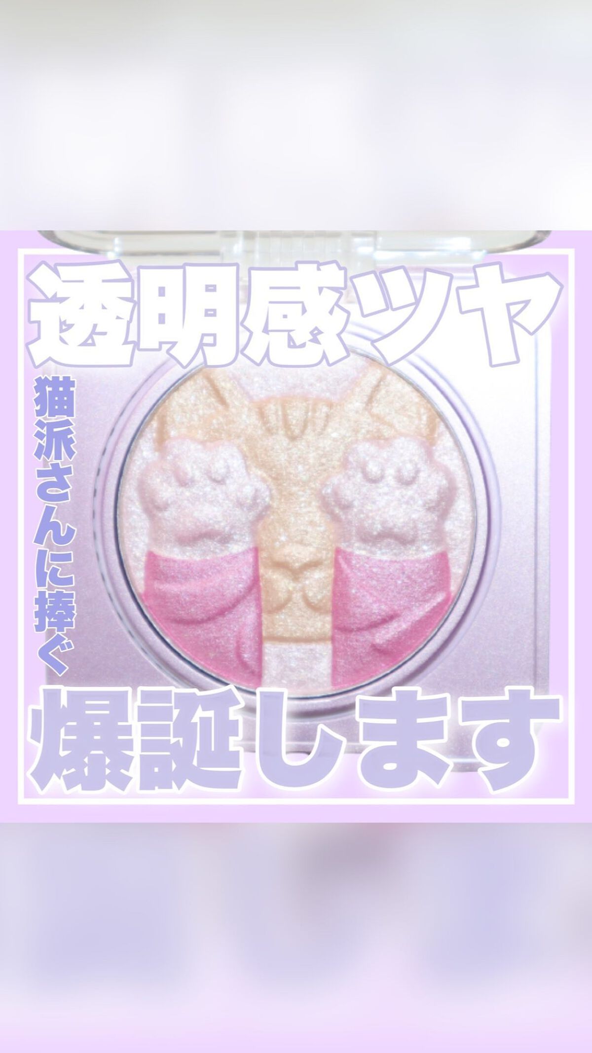 キャットハイライティングブラッシュ/ZEESEA/パウダーハイライトを使ったクチコミ（1枚目）