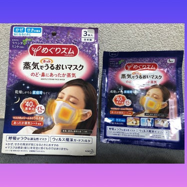 2022新発 めぐりズム 蒸気でうるおいマスク ハニーレモン42枚