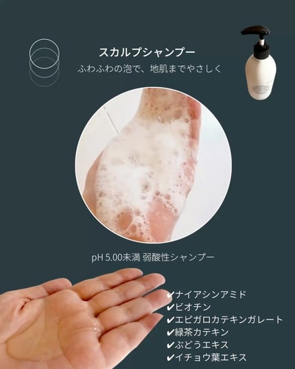 おもち♡保湿おたく on LIPS 「✨地肌から変わる、未来の髪質。季節の変わり目、紫外線、日々のス..」(3枚目)