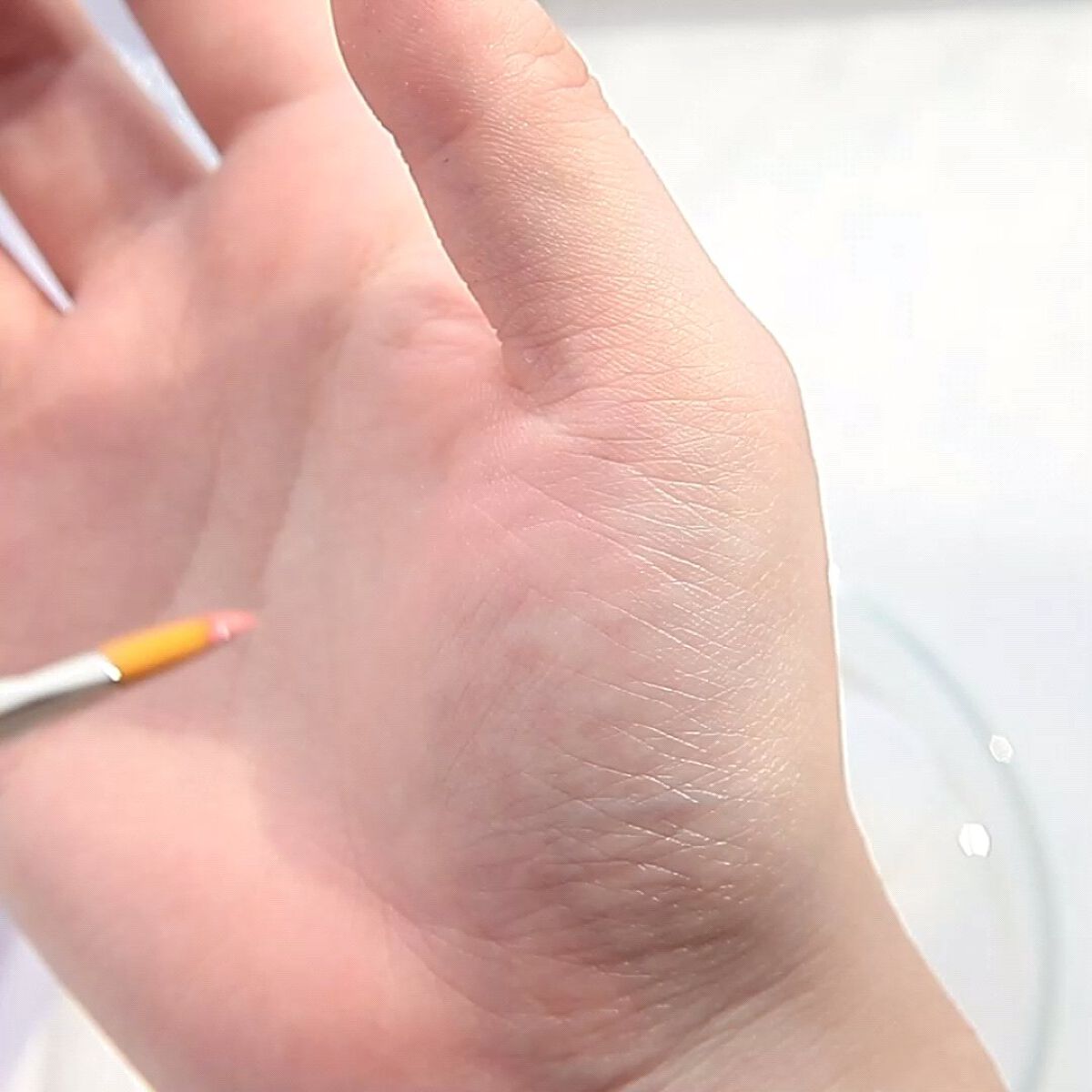 501 リップ/PICCASSO/メイクブラシの動画クチコミ2つ目