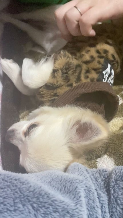 GLOW 2020年6月号増刊/GLOW/雑誌の動画クチコミ3つ目