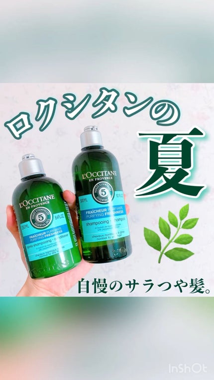 ファイブハーブス ピュアフレッシュネス シャンプー/コンディショナー/L'OCCITANE/市販シャンプーの人気ショート動画