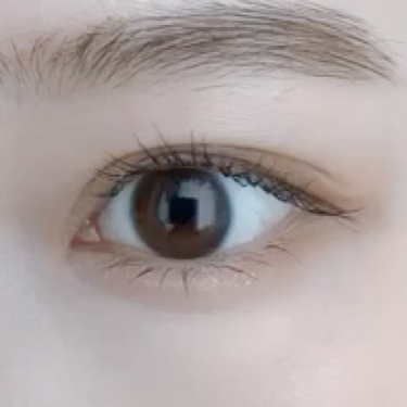 FASIO リキッドアイカラー WPのクチコミ「fasio リキッドアイカラー WP💌
涙袋が自然とぷっくり!☀︎
わたしはピンクブラウン.....」(3枚目)