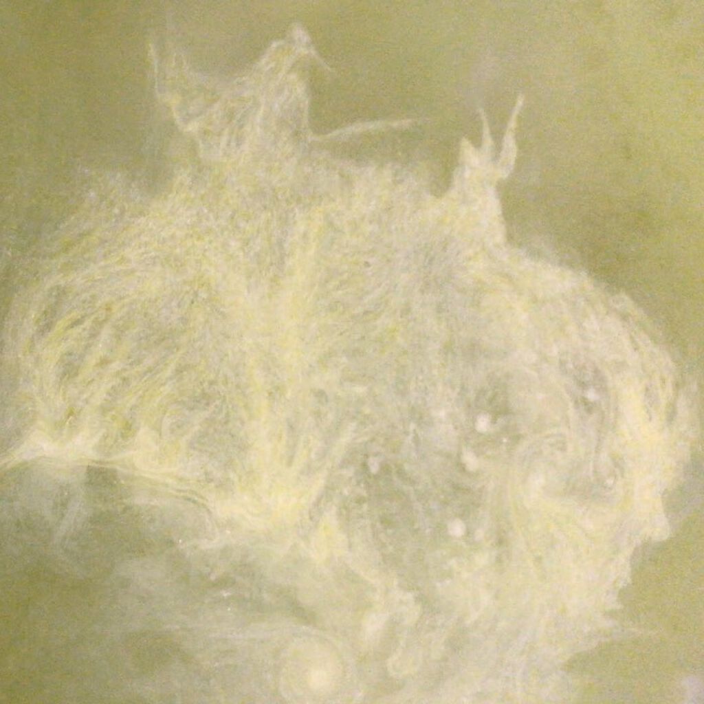 Bath powder/Spa Tokyo/入浴剤の動画クチコミ2つ目