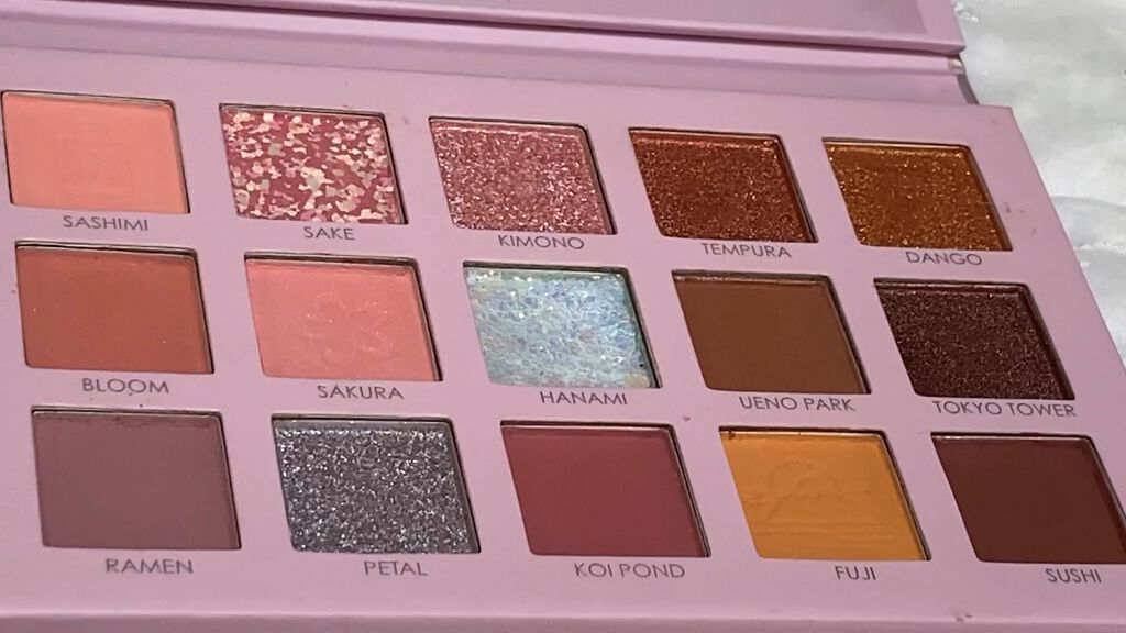 GO TRAVEL 15色アイシャドウパレット/FOCALLURE/アイシャドウパレットの動画クチコミ3つ目