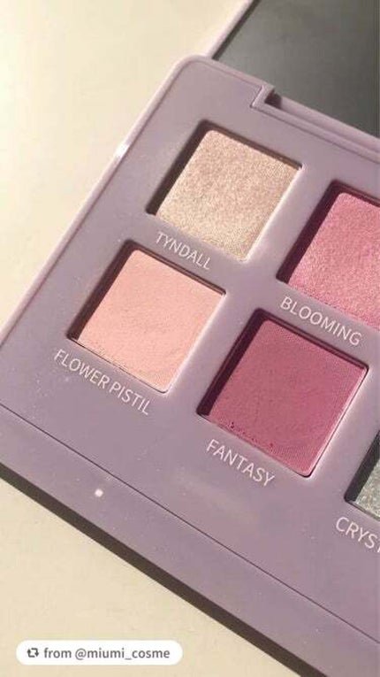 エクスプローラ12色 動物アイシャドウパレット/PERFECT DIARY/アイシャドウパレットを使ったクチコミ(7枚目)