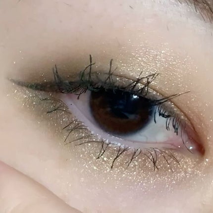 グロッシーリッチ アイズ N/Visée/アイシャドウパレットを使ったクチコミ(3枚目)