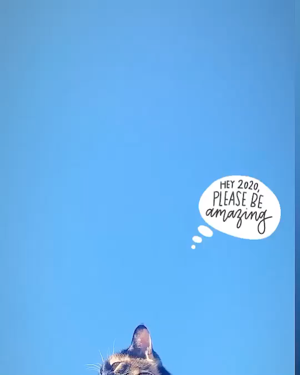 モロッカンオイル トリートメント/モロッカンオイル/ヘアオイルを使ったクチコミ(2枚目)