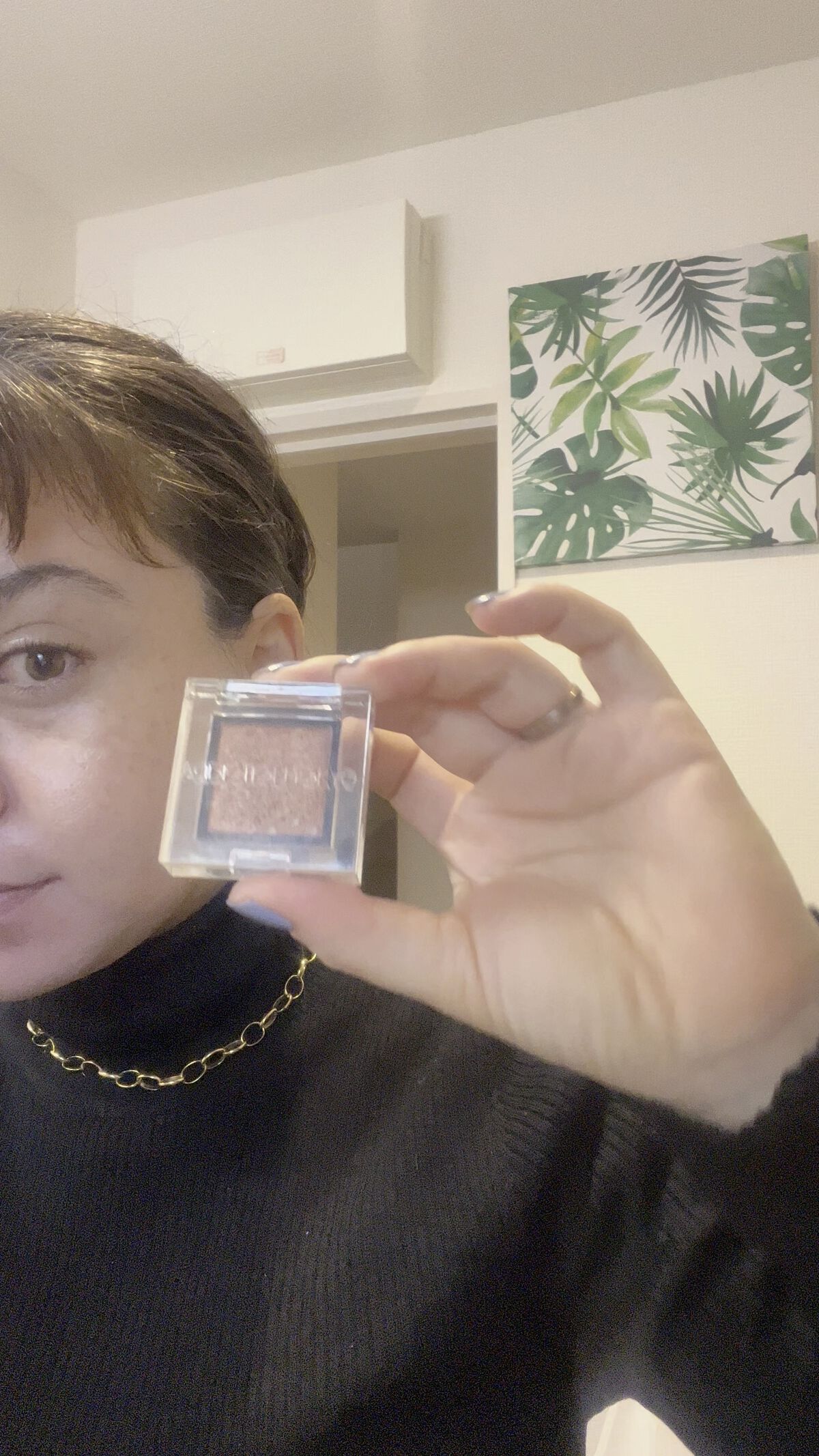 アディクション ザ アイシャドウ ソングス オブ レイン   108 Urban Reflection/ADDICTION/単色アイシャドウを使ったクチコミ（1枚目）