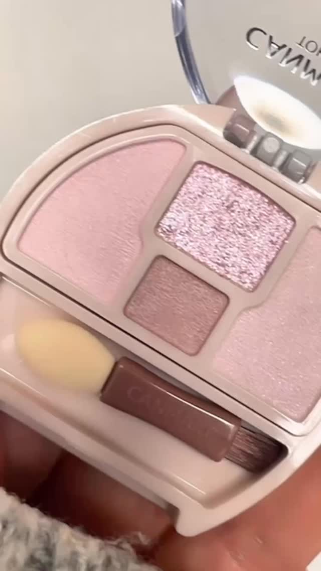 プランぷくコーデアイズNeo/キャンメイク/アイシャドウを使ったクチコミ（1枚目）