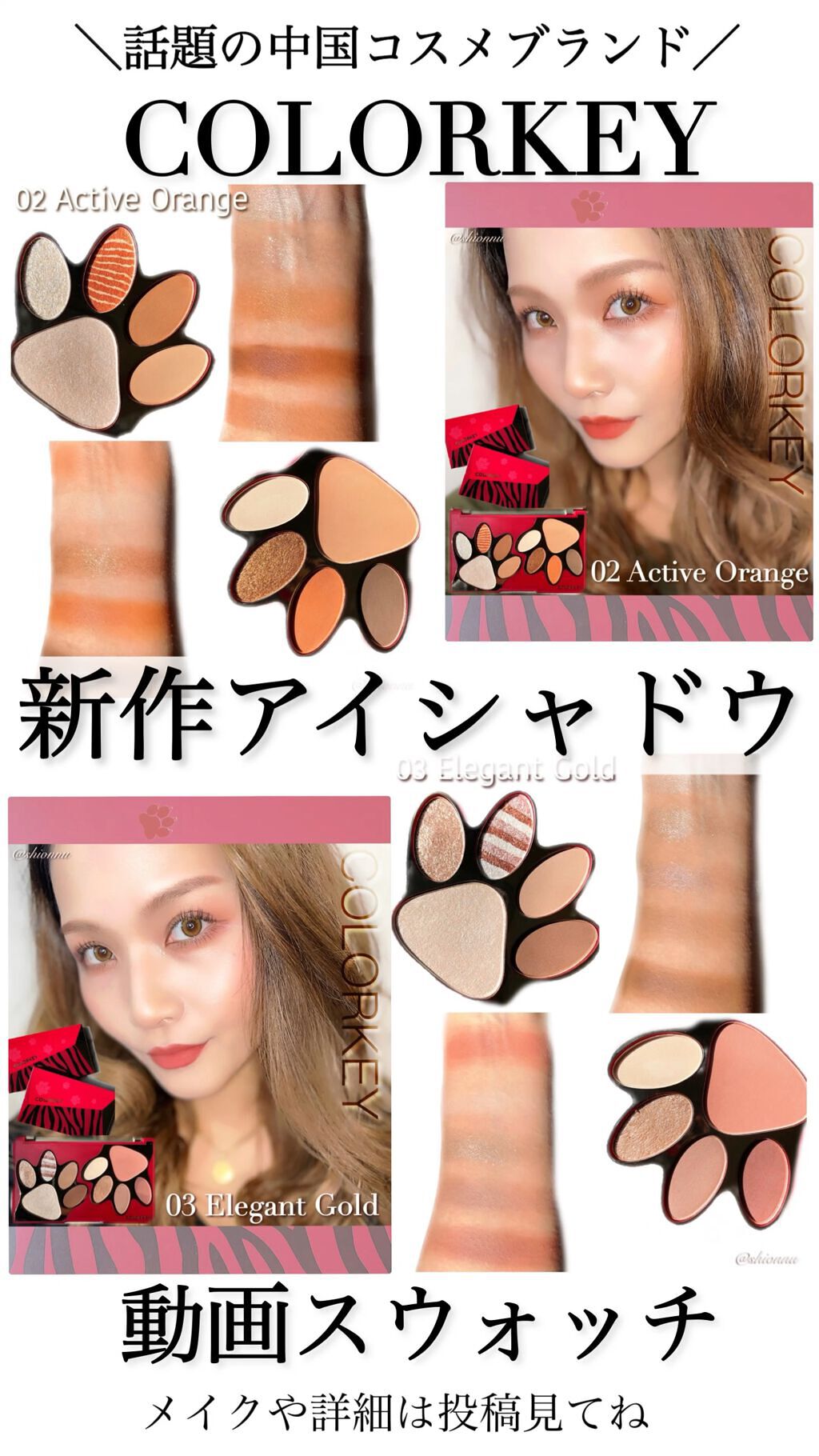 TIGER MAKEUP PALETTE/COLORKEY/アイシャドウパレットを使ったクチコミ（1枚目）