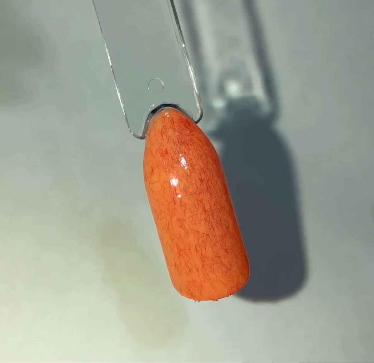 jill leen. 繊維ネイル /jill leen./マニキュアを使ったクチコミ（2枚目）