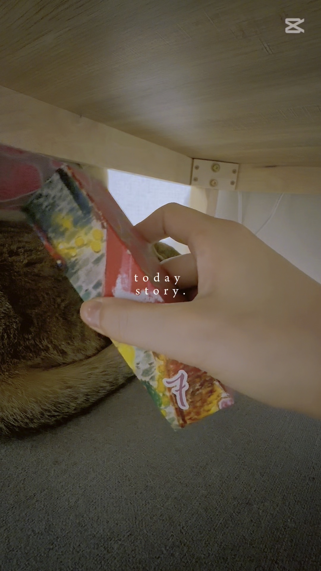 ポール&ジョーアドベントカレンダー2025/PAUL & JOE BEAUTE/メイクアップキットの人気ショート動画