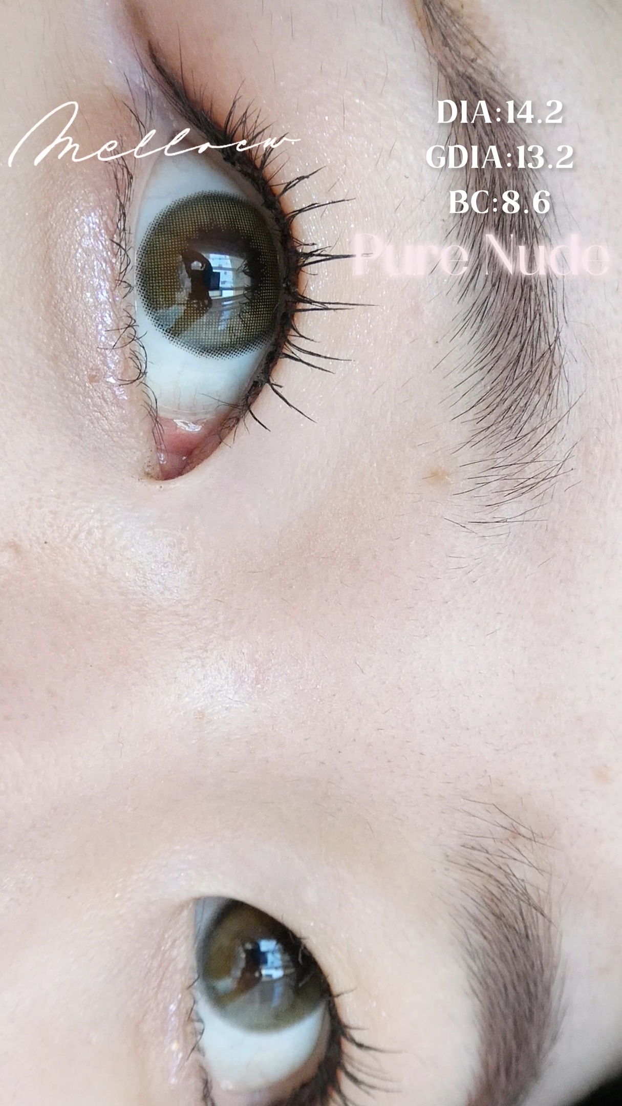 melloew 1day/melloew/ワンデー（１DAY）カラコンの人気ショート動画